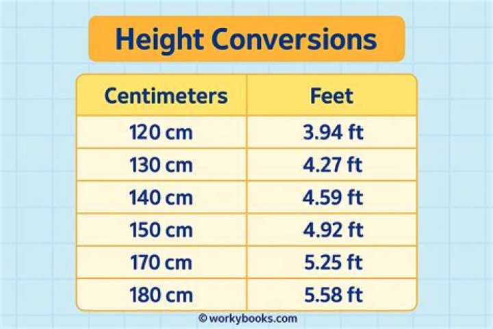 25 cm to feet 25 cm in feet