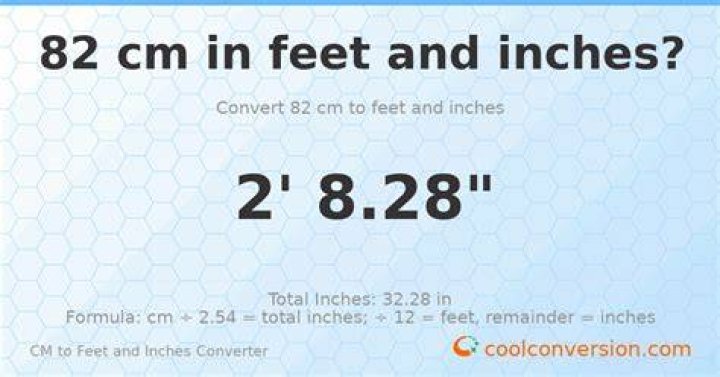 82 cm to feet 82 cm in feet