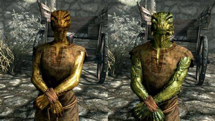 An argonian fishing in Skyrim's Anniversary Edition.