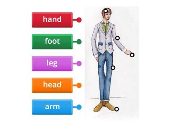 Arm, Hand, Leg, Pattern, Textile, Pattern, Thigh, Human leg, Arm, Hand, Leg, Pattern, Textile, Pattern, Thigh, Human leg,