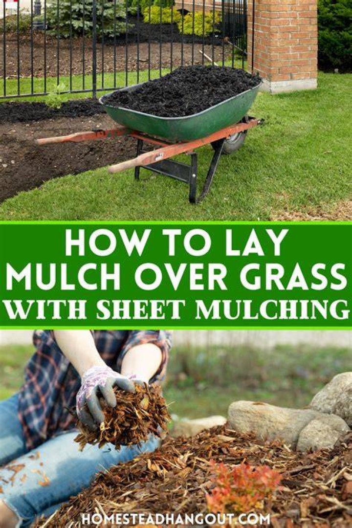 Can I just put mulch over grass?