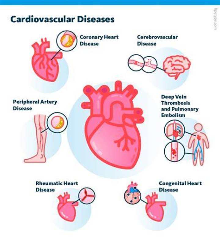 CARDIOVASCULAR EFFECTS