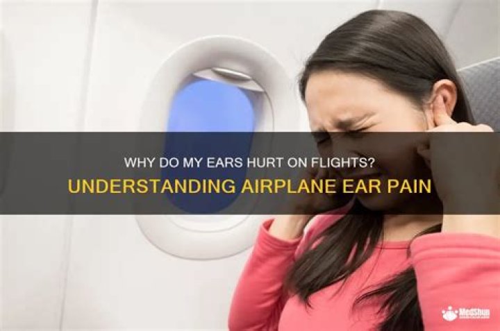 Do cats ears hurt in planes?