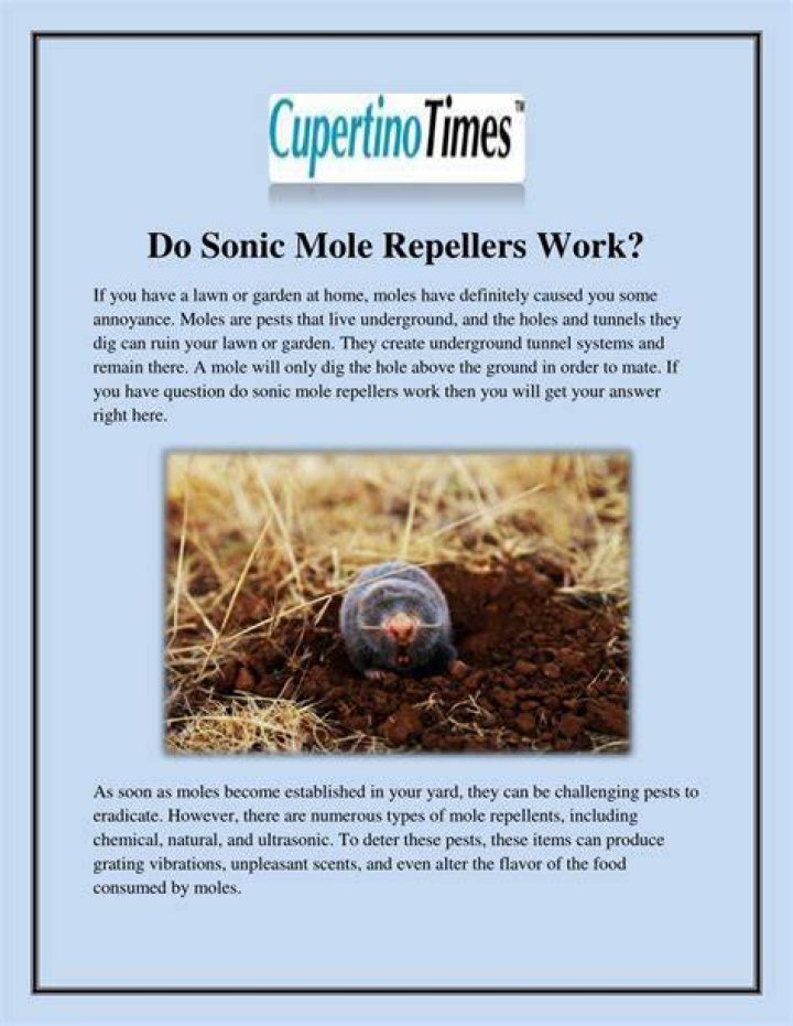 Do sonic mole repellers really work?