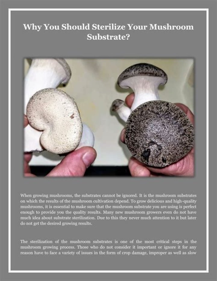 Do you have to sterilize substrate?
