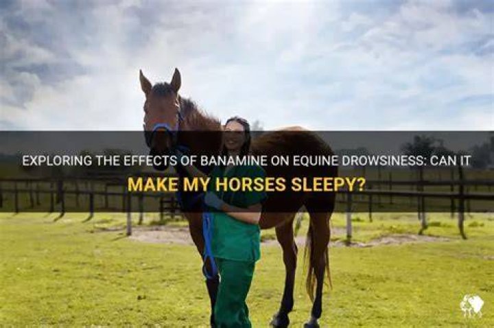 Does Banamine make horses sleepy?