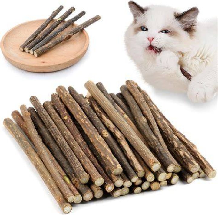 Fur sticks to the cat&rsquo;s tongue and is detangled as it runs between the papillae. Photo by Josh Cassidy/KQED