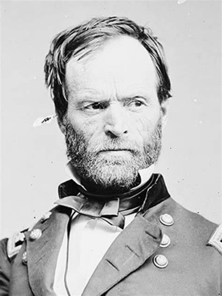 General William Tecumseh Sherman in May 1865. Portrait by Mathew Brady.