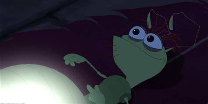 How did Ray the firefly die?