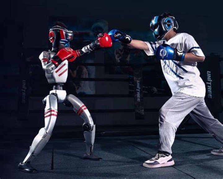 How does Boxer the robot work?