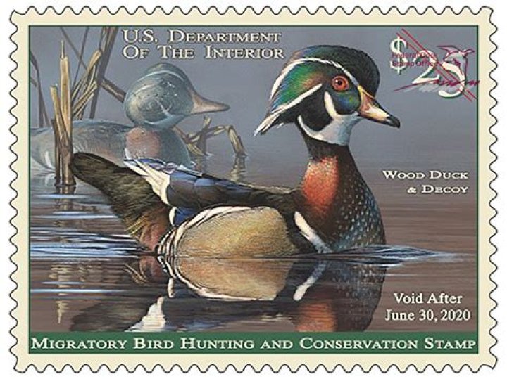 How much is a duck stamp 2020?