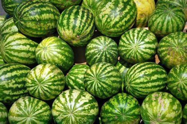 Is a watermelon 30 kilograms?