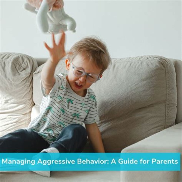 Is aggressive behavior hereditary?