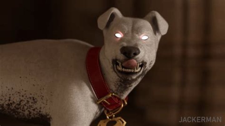 Jackerman 3d