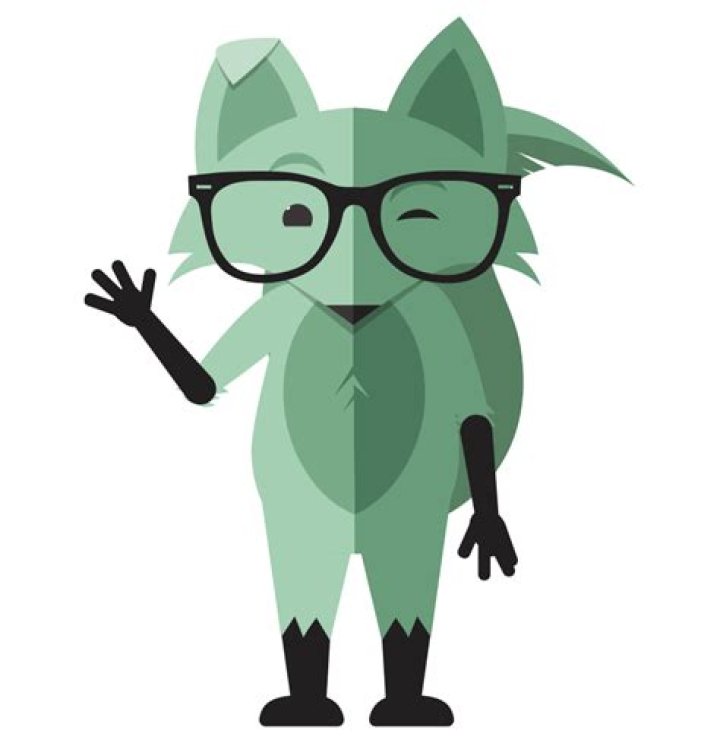 Mint Fox Thinking