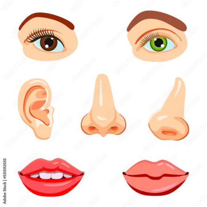 Nose, Mouth, Lip, Hairstyle, Eye, Skin, Chin, Forehead, Eyebrow, Eyelash, 