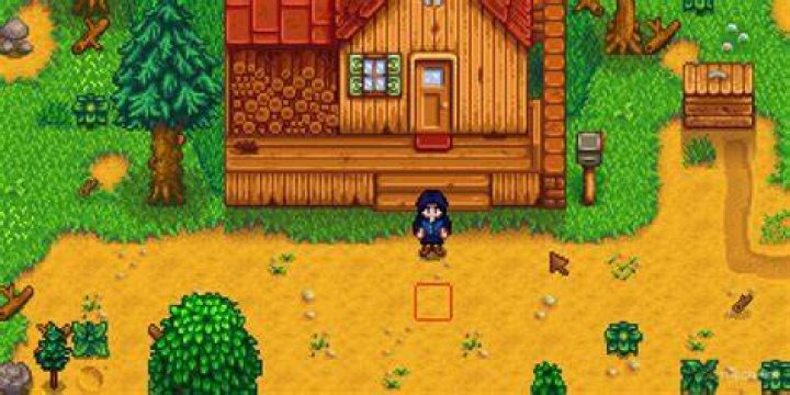 Stardew Valley. The player is standing in front of a house on their farm. There are crops in the upper left of the screen and a crystal in front of the player in the middle. 