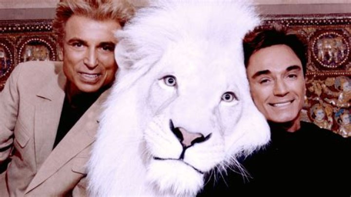 The Surprising Way Siegfried And Roy Met