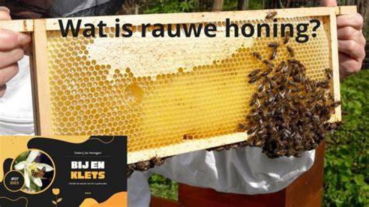 Waar Koop Je Echte Honing? (Correct answer)