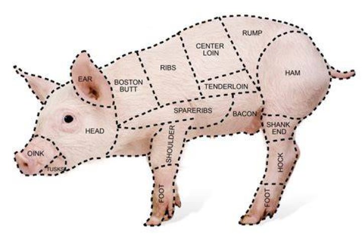 What animal does sliced ham come from?