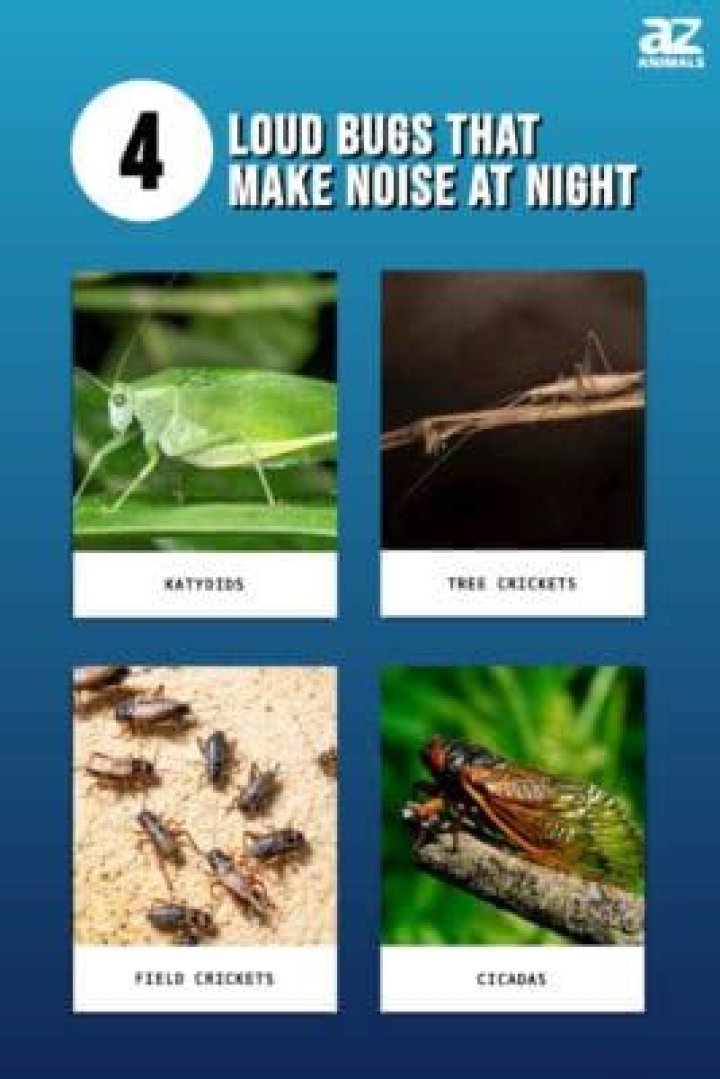 What bugs make loud noises in trees?