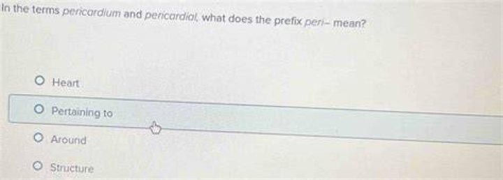 What Does Peri Mean In Anatomy? (Question)