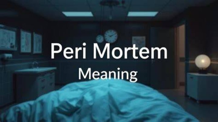 What Does Peri Mean Latin? (Perfect answer)