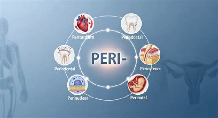 What Does Peri Mean Perinatal? (Best solution)