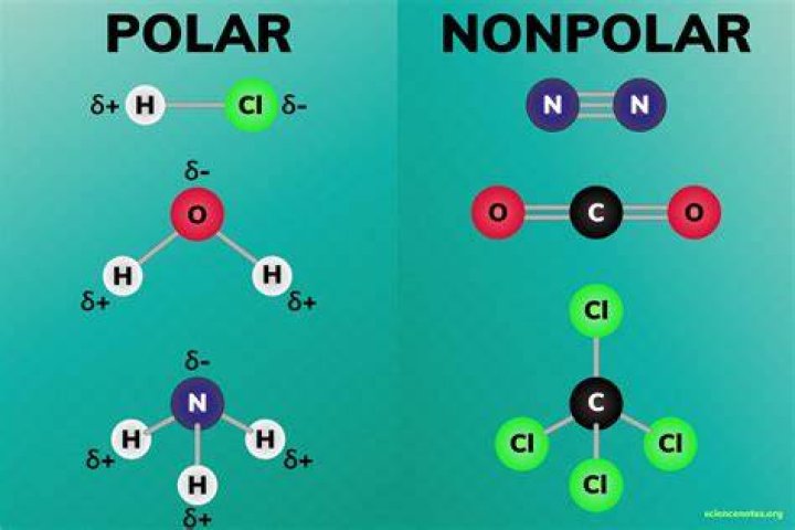 What is difference between polar and nonpolar compounds?