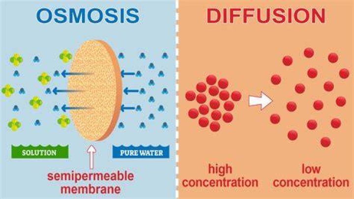 What is the difference between filtration and diffusion?