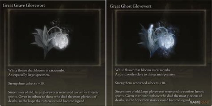 What is the difference between grave and Ghost Glovewort?