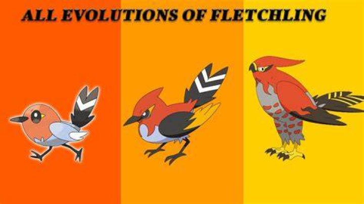 What level does Fletchling evolve?