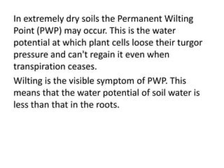 What PWP means?