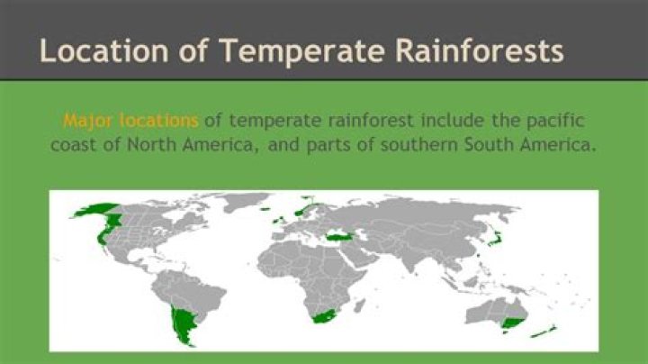 Where are the 7 temperate rainforests located?